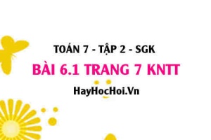 Bài 6.1 trang 7 Toán 7 Tập 2 Kết nối tri thức